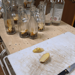 Rose Hip Gin Recipe