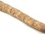 horseradish root