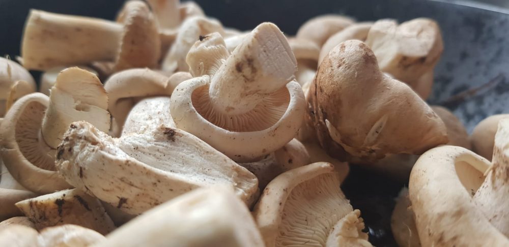 Wild Mushroom (100g) - Image 2