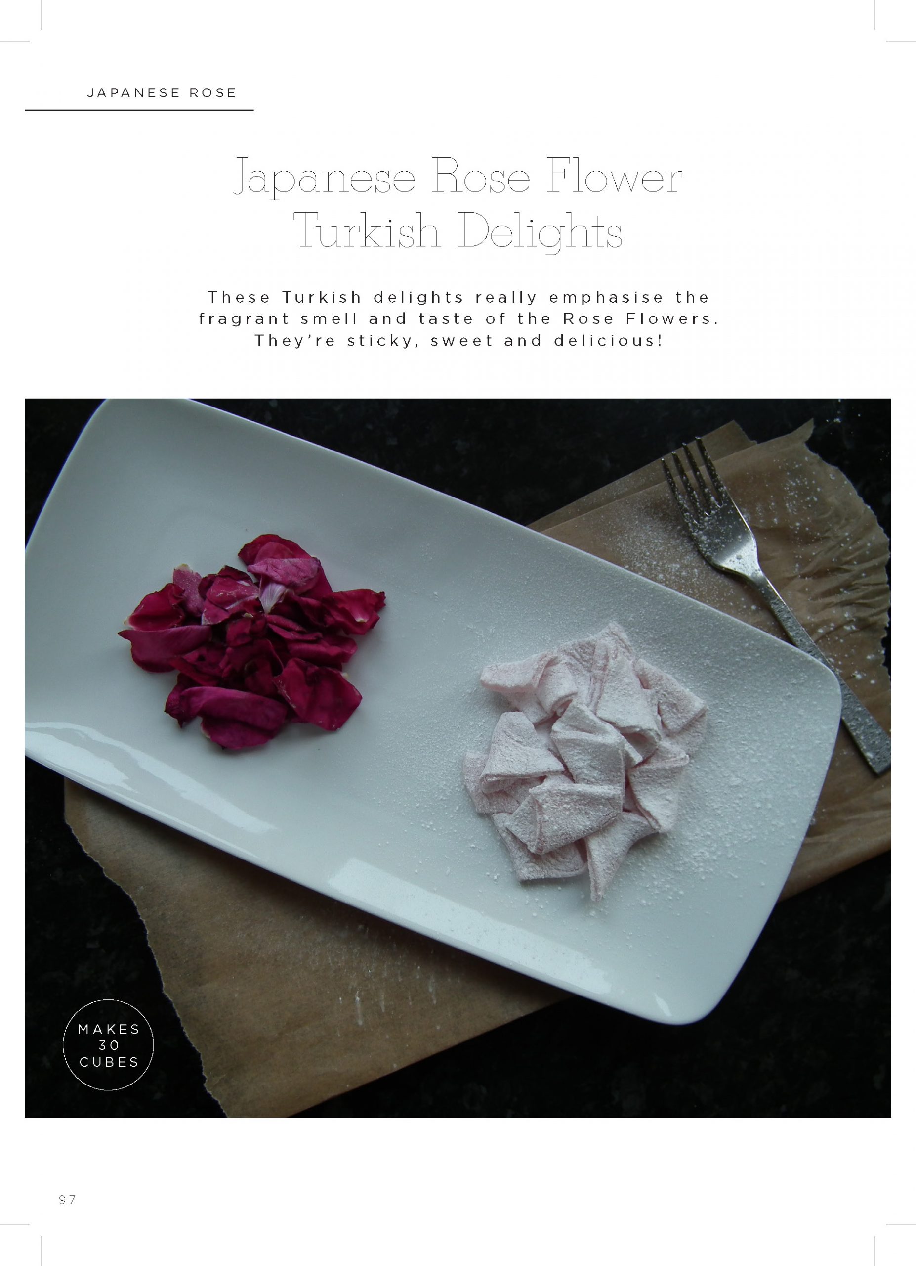 The Foragers Cookbook: A Great Book to Learn the Art of Foraging - Image 5