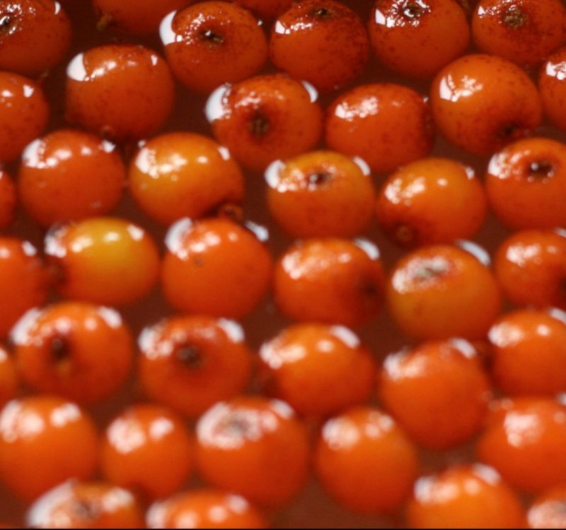 Sea Buckthorn Juice (500ml) - Image 2