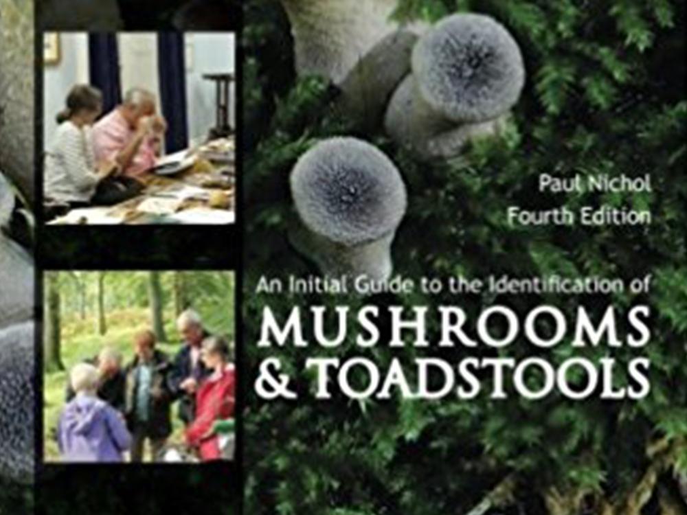 An Initial Guide to the Identification of Mushrooms and Toadstools
