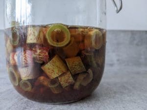 Pickled Japanese Knotweed Recipe