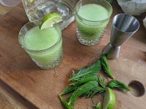 Spruce Margarita Recipe