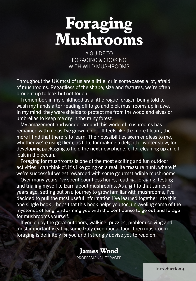 Foraging Mushrooms - A Guide to Foraging & Cooking with Wild Mushrooms - Image 3
