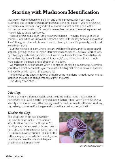 Foraging Mushrooms - A Guide to Foraging & Cooking with Wild Mushrooms - Image 4