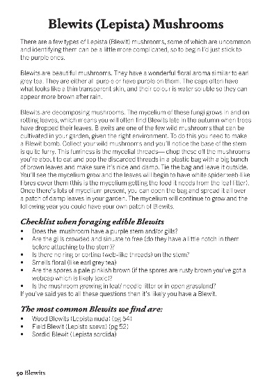 Foraging Mushrooms - A Guide to Foraging & Cooking with Wild Mushrooms - Image 7