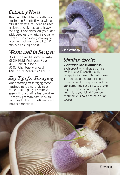 Foraging Mushrooms - A Guide to Foraging & Cooking with Wild Mushrooms - Image 9