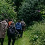 Foraging Course in the Hedgerows