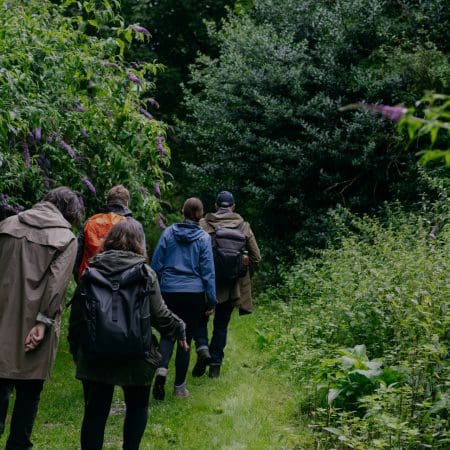Foraging Course in the Hedgerows