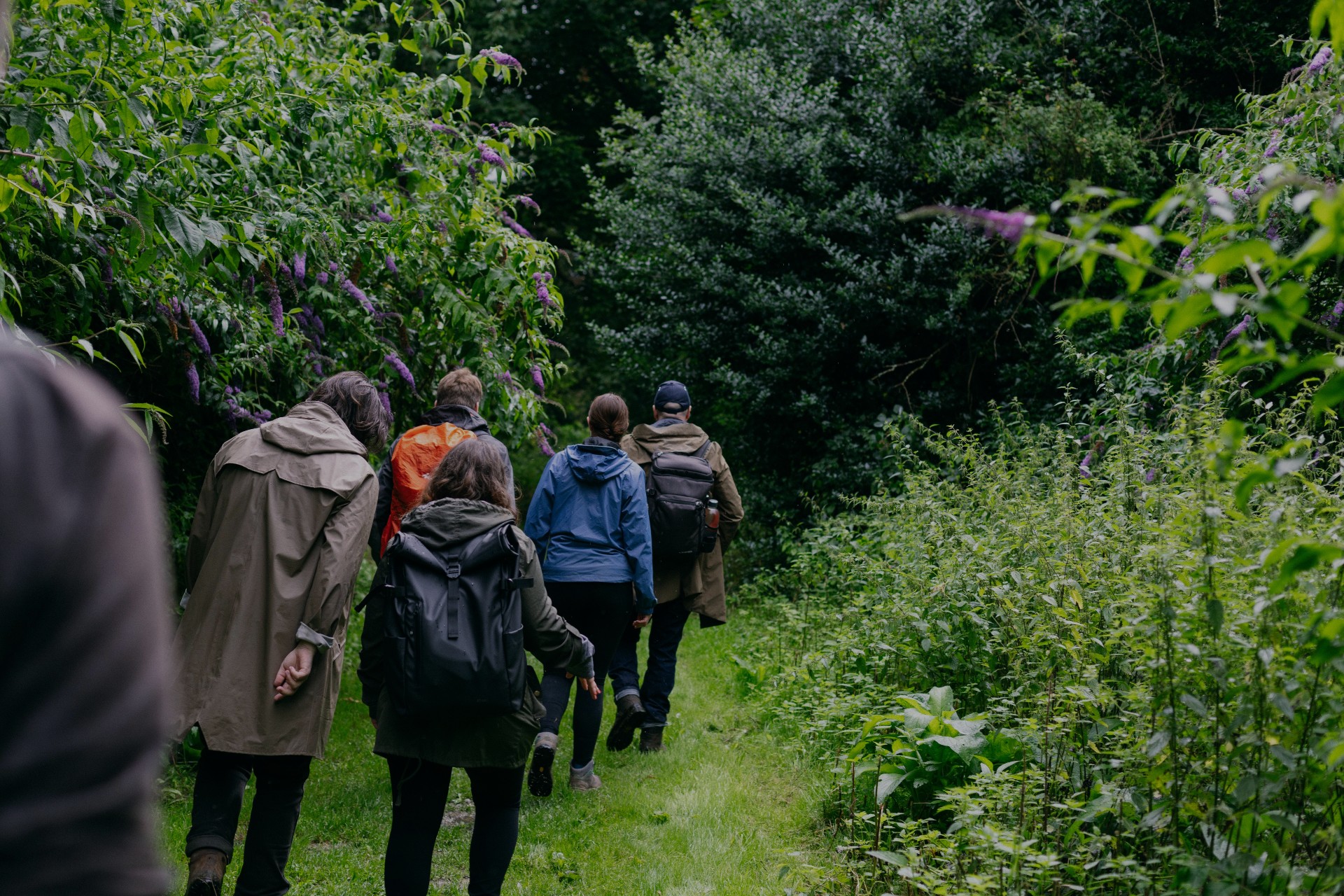 Foraging Course in the Hedgerows