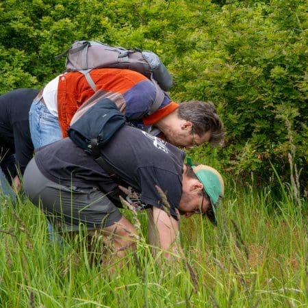 Ticket: Foraging Walk in Hampshire 22/10/2024 - 22/10/2024