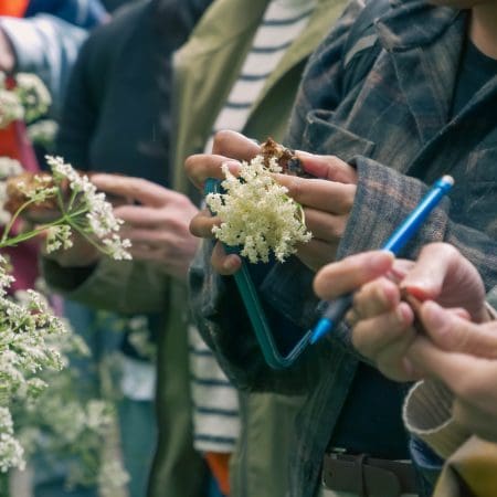 Ticket: Foraging Walk in Hertfordshire 30/10/2024 - 30/10/2024