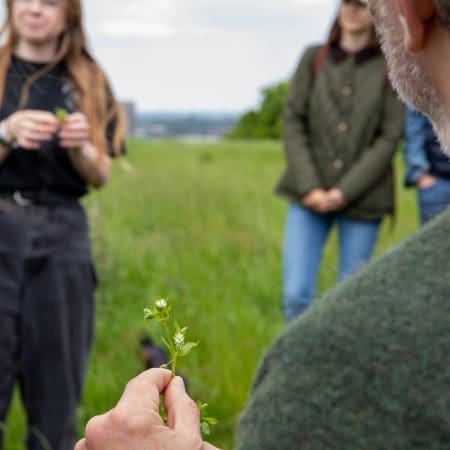 Ticket: Forage and Cook - Cheshire  -
