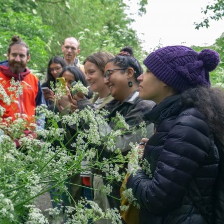 Ticket: Foraging Walk in Buckinghamshire 23/10/2024 - 23/10/2024