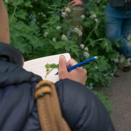 Ticket: Foraging Walk - Cheshire  -