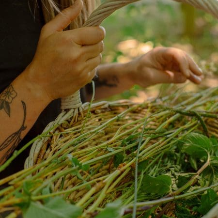 Ticket: Forage and Cook - Hampshire  -