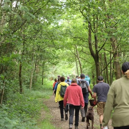 Ticket: Forage and Cook - Devon  -