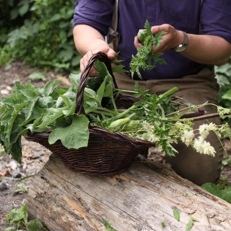 Ticket: Forage and Cook - Cheshire  -