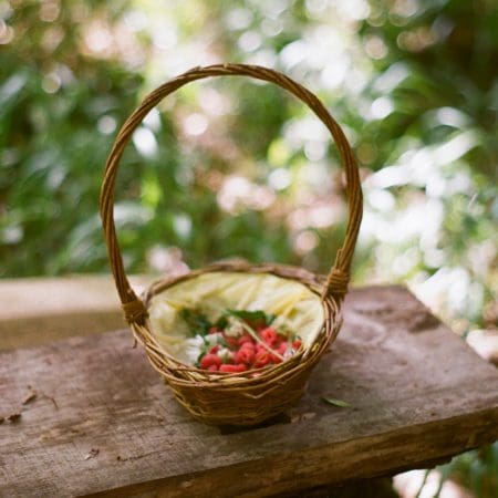 Ticket: Forage and Cook - Nottingham  -
