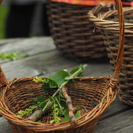 Ticket: Forage and Cook - Warminster  -