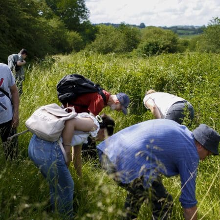 Ticket: Afternoon Foraging Walk in Norfolk 01/11/2024 - 01/11/2024