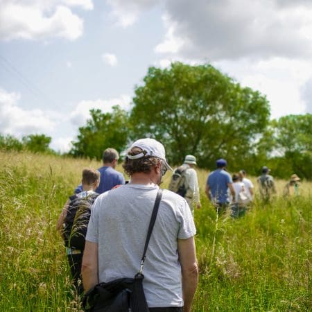 Ticket: Forage and Cook - Devon  -