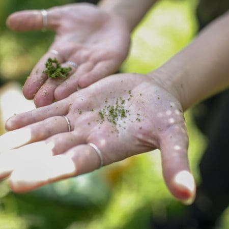 Ticket: Forage and Cook - Worcester  -