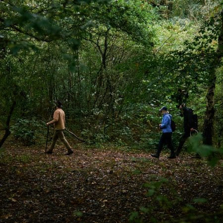 Ticket: Foraging Walk in Devon 11/10/2024 - 11/10/2024