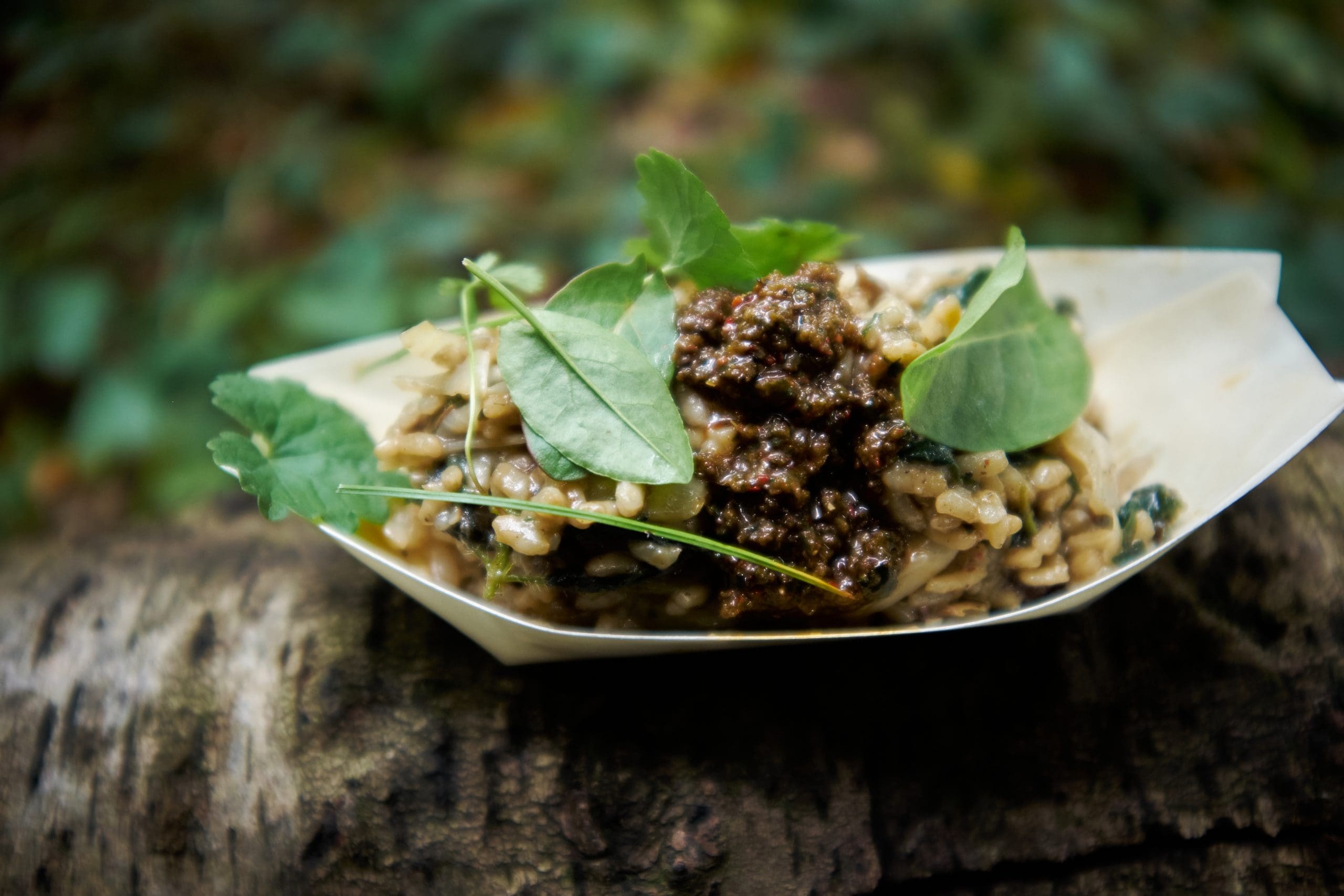 Foraging Course Voucher - Name Your Price - Image 7