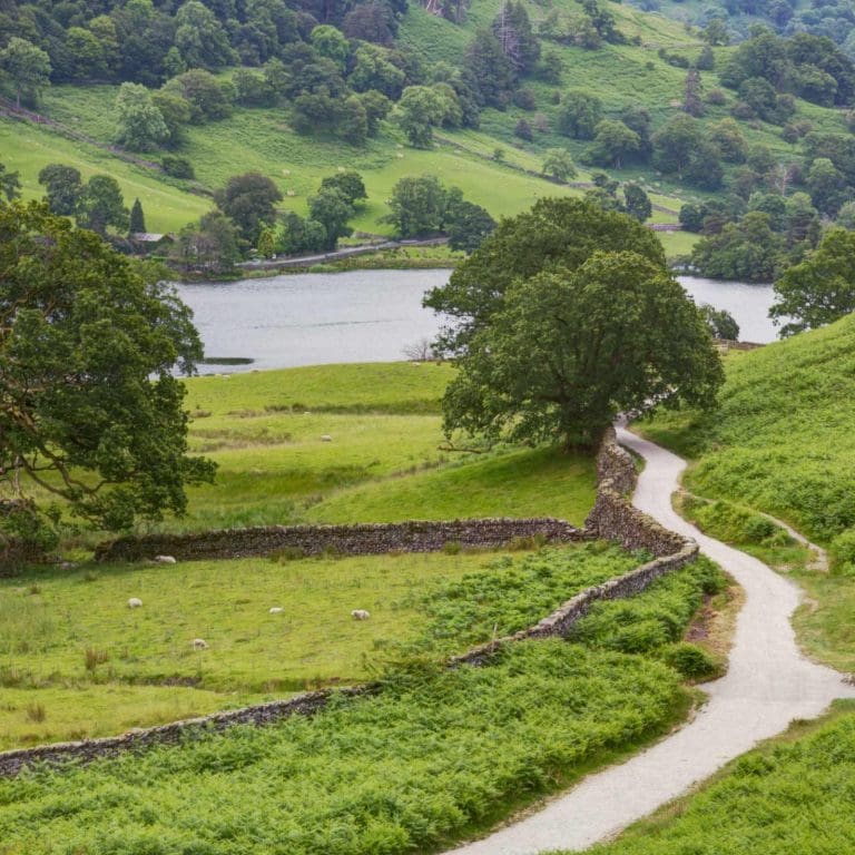 foraging in the lake district