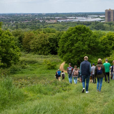 Ticket: Afternoon Foraging Walk in Suffolk 05/11/2024 - 05/11/2024