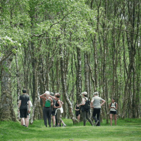 Ticket: Afternoon Foraging Walk in Bristol 30/10/2024 - 30/10/2024