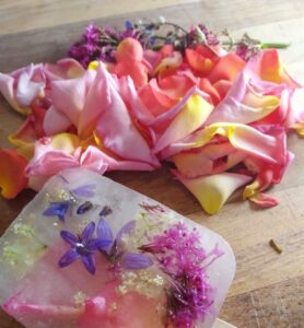 Â Elderflower Ice Lollies: My Favourite Summer Treat